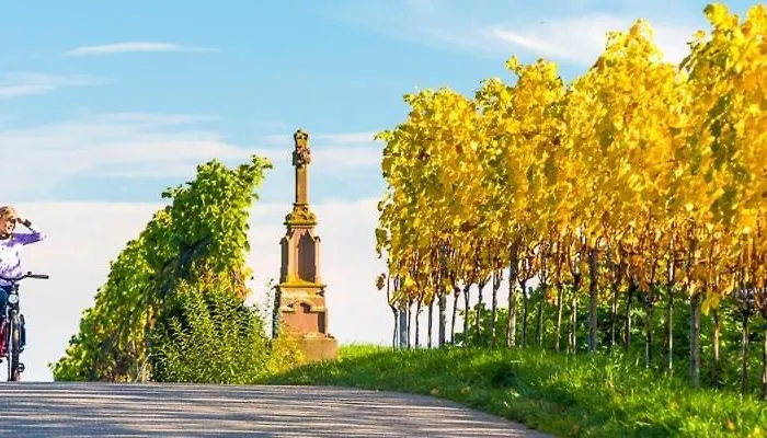 Traumseeblick Immenstaad Immenstaad am Bodensee